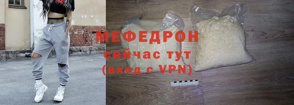 индика Богданович