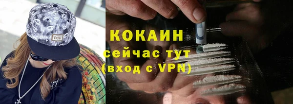 трава Белокуриха