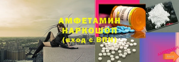 индика Богданович