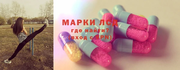 индика Богданович