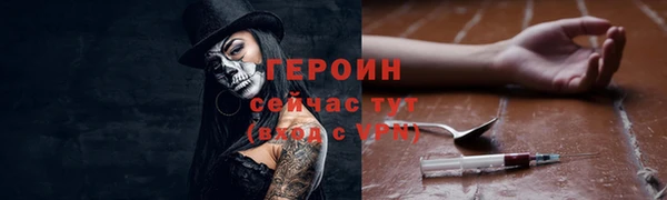индика Богданович