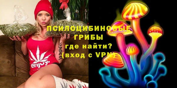 стафф Богородск
