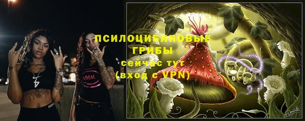 стафф Богородск