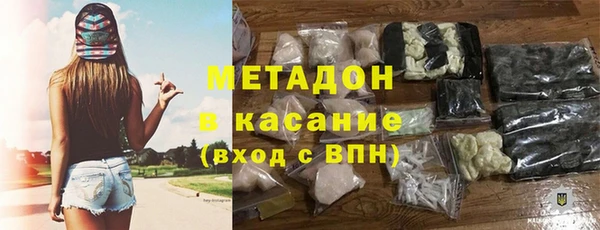 индика Богданович