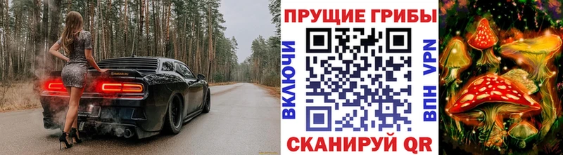 Псилоцибиновые грибы GOLDEN TEACHER  купить наркотик  Великие Луки 